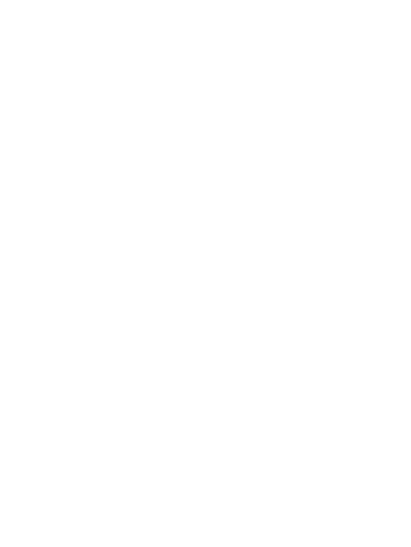 GV CONSULTANTS